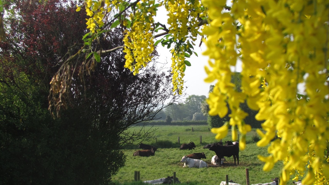 Photo of Others in Loppington