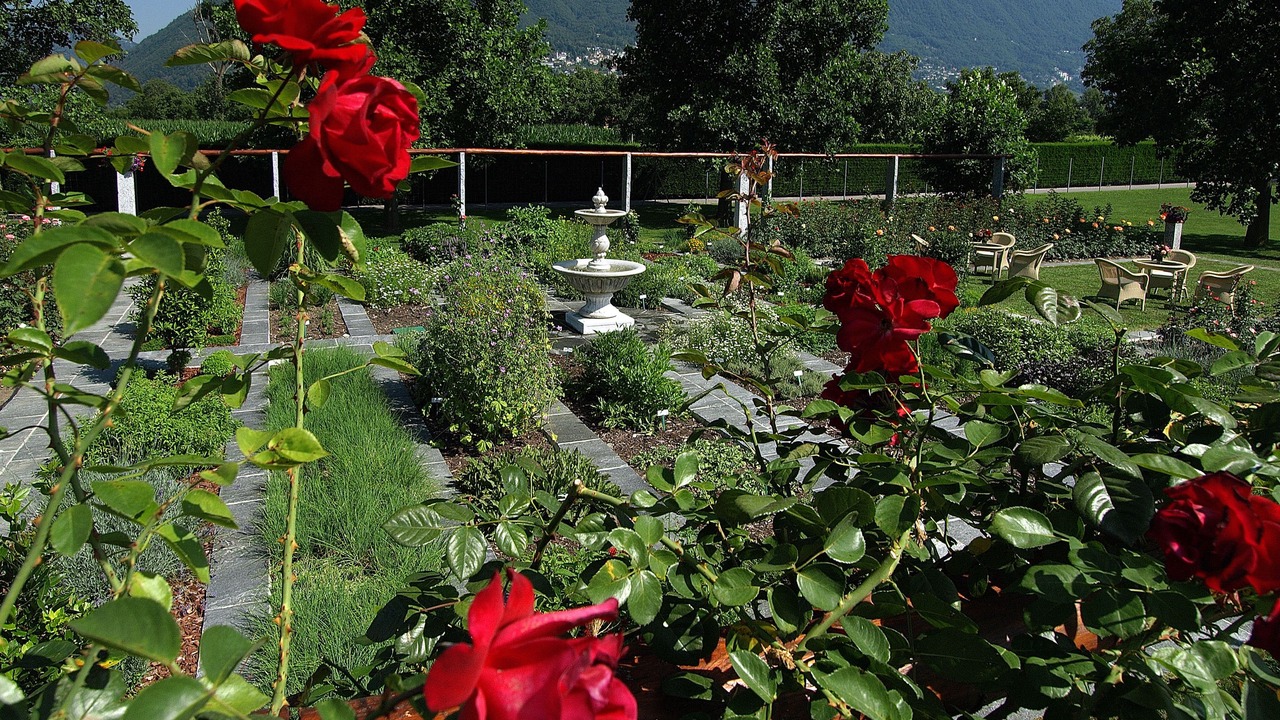 Photo of Outdoor in Ascona