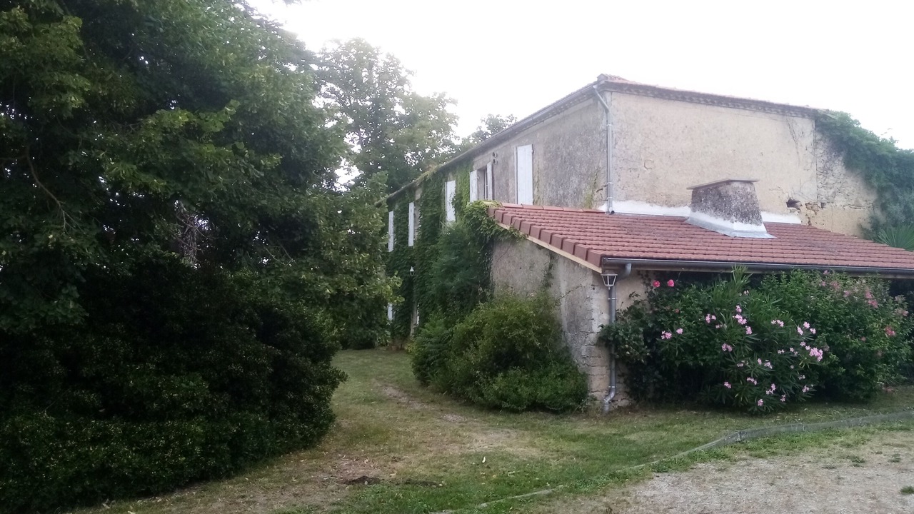 Photo of Others in Gans