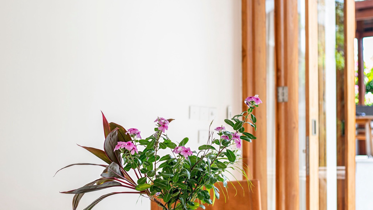 Photo of Outdoor in Gili Gede