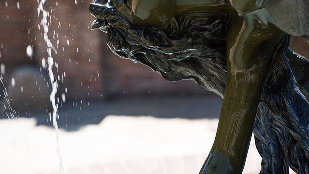 Photo of Others in Netley