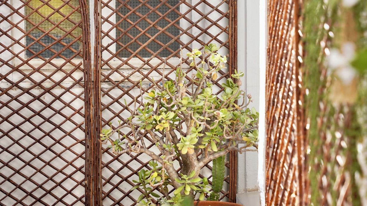 Photo of Patio Balcony in Les Halles - Valliere