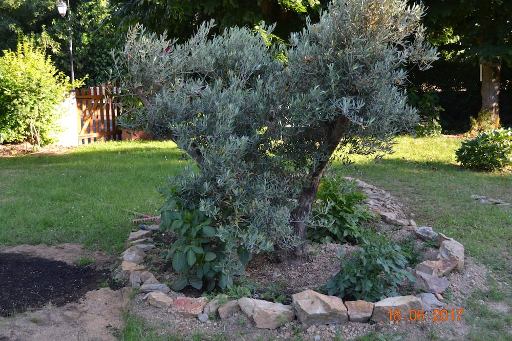 Photo of Outdoor in Brissac-Quince