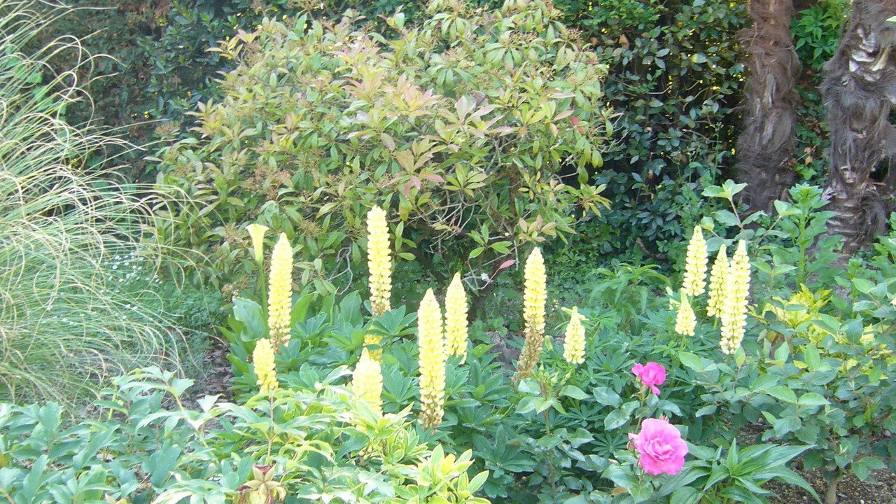 Photo of Outdoor in Aire-sur-l'Adour