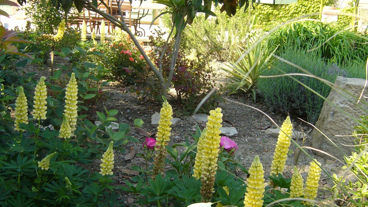 Photo of Outdoor in Aire-sur-l'Adour