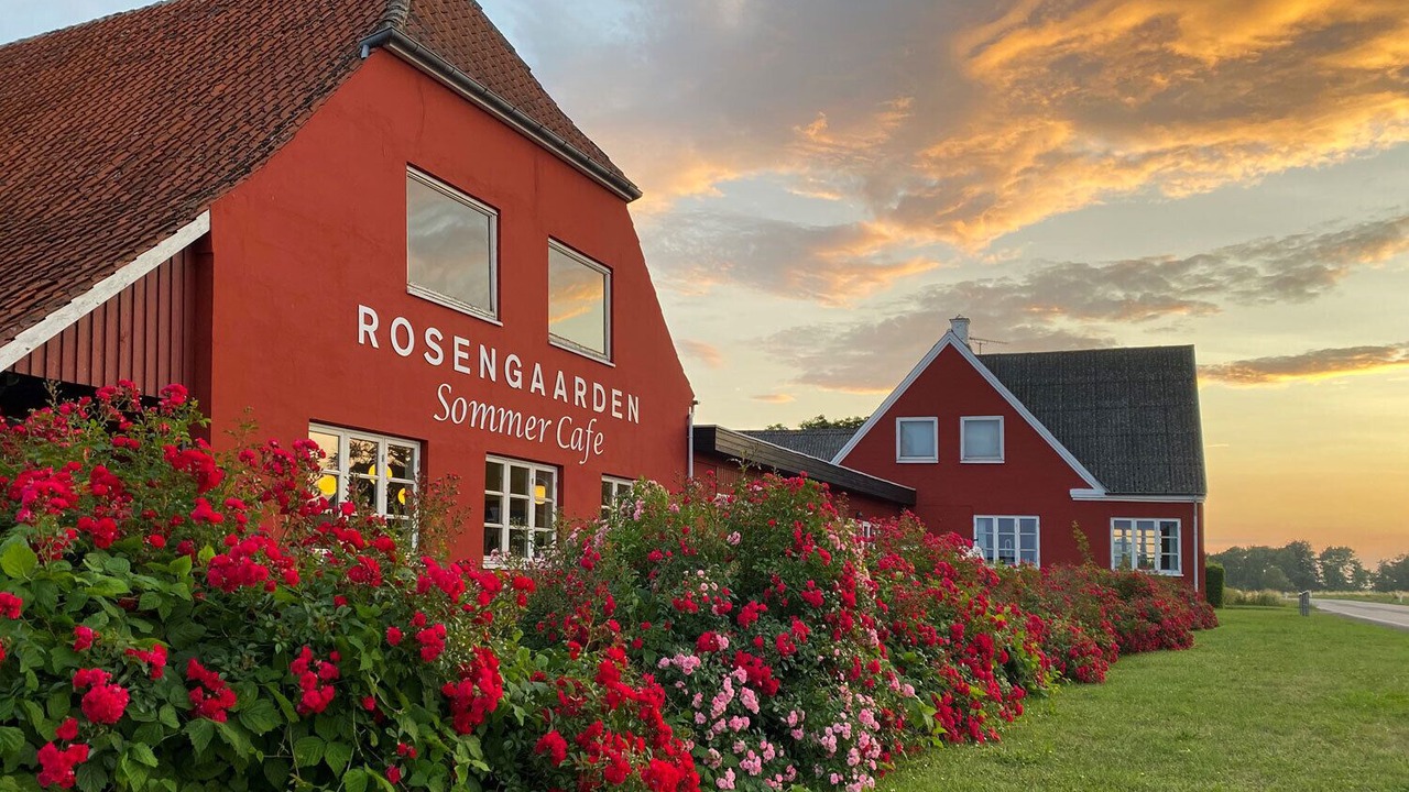 Photo of Patio Balcony in Akirkeby
