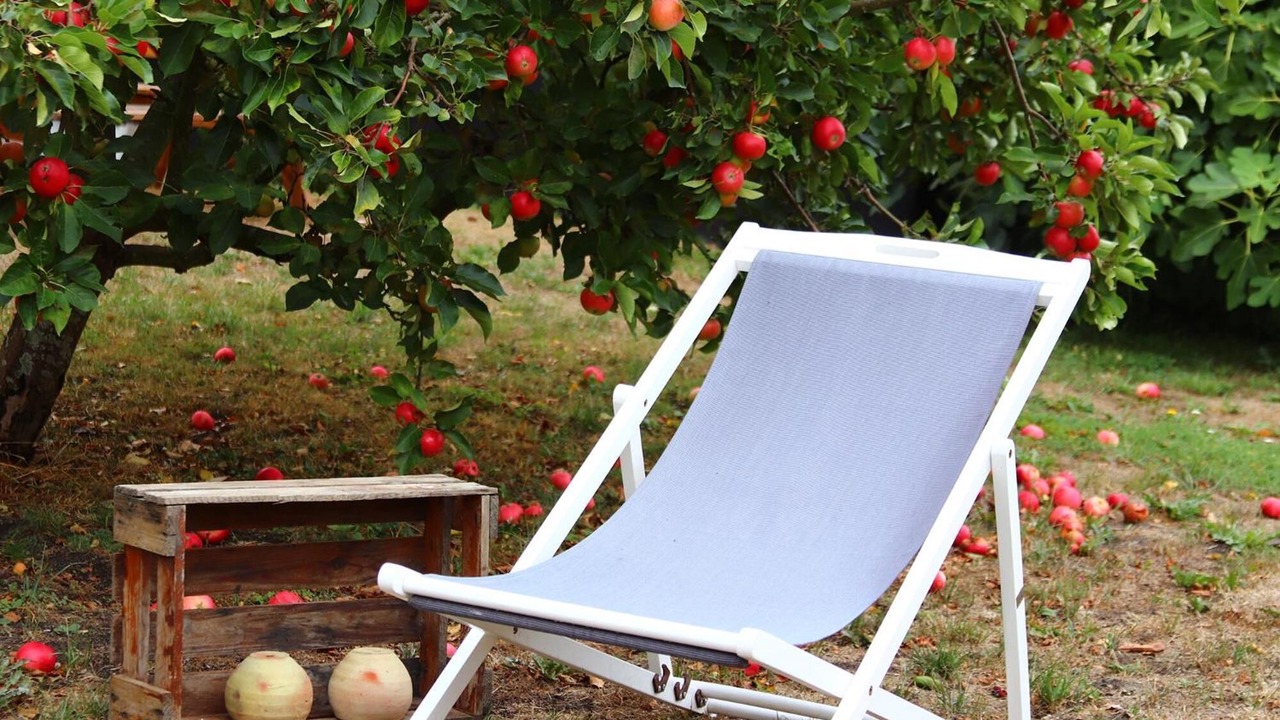 Photo of Outdoor in Akirkeby