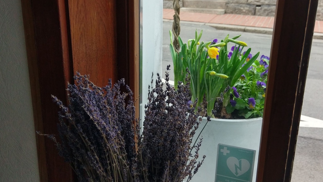 Photo of Others in Akirkeby