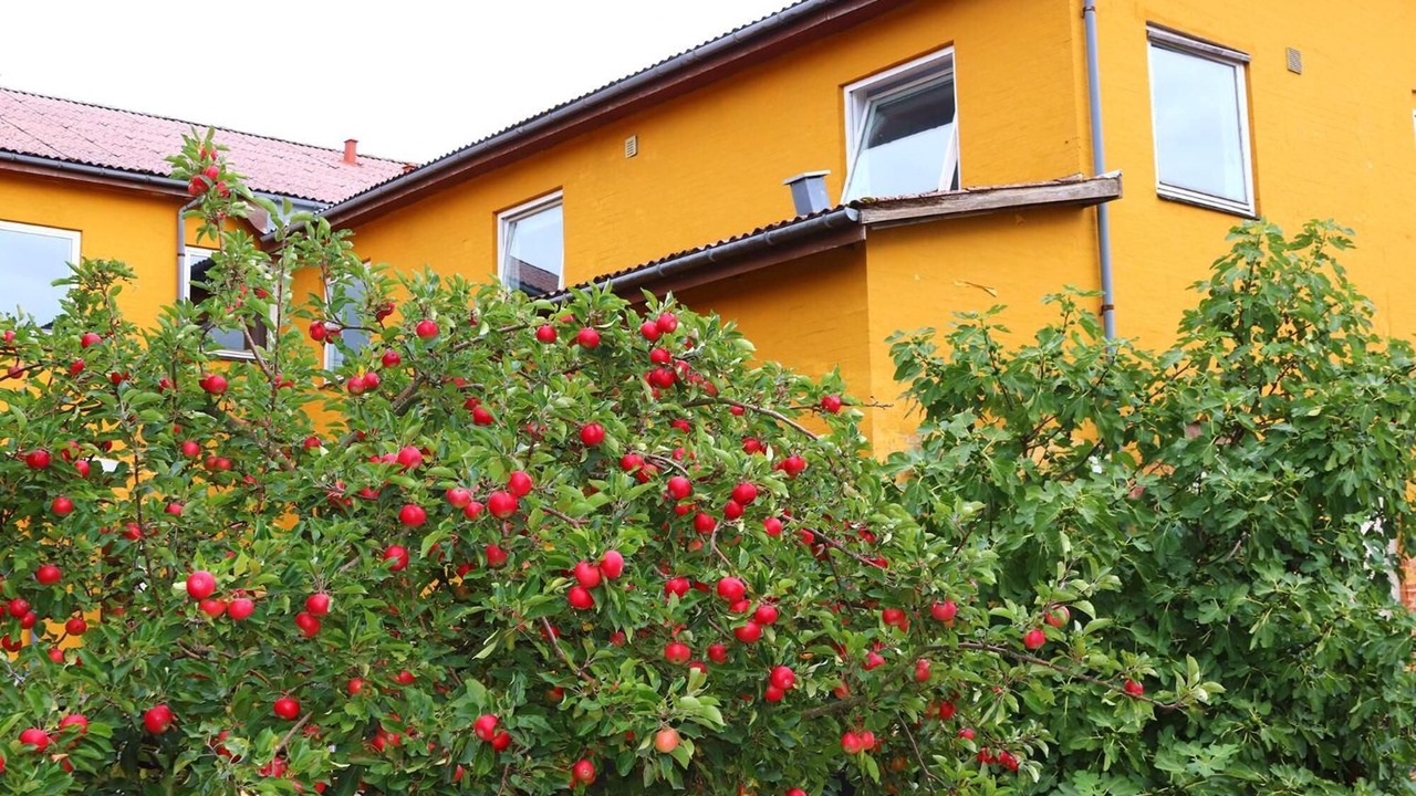 Photo of Outdoor in Akirkeby