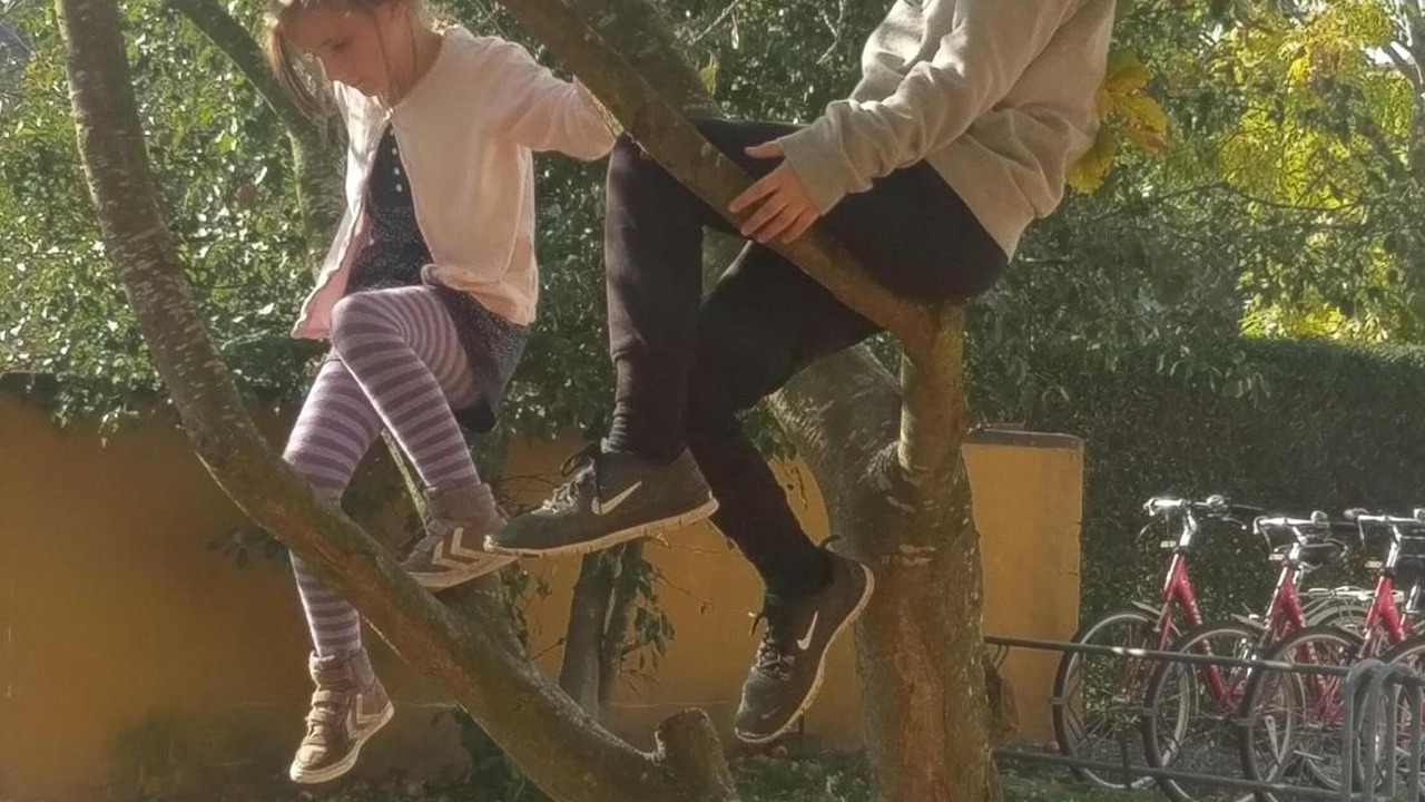 Photo of Outdoor in Akirkeby