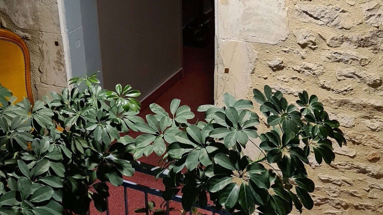 Photo of Outdoor in Quartier Saint-Martin