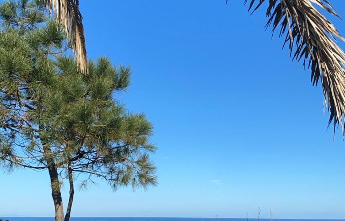 Photo of Others in Saint-Paul-les-Dax