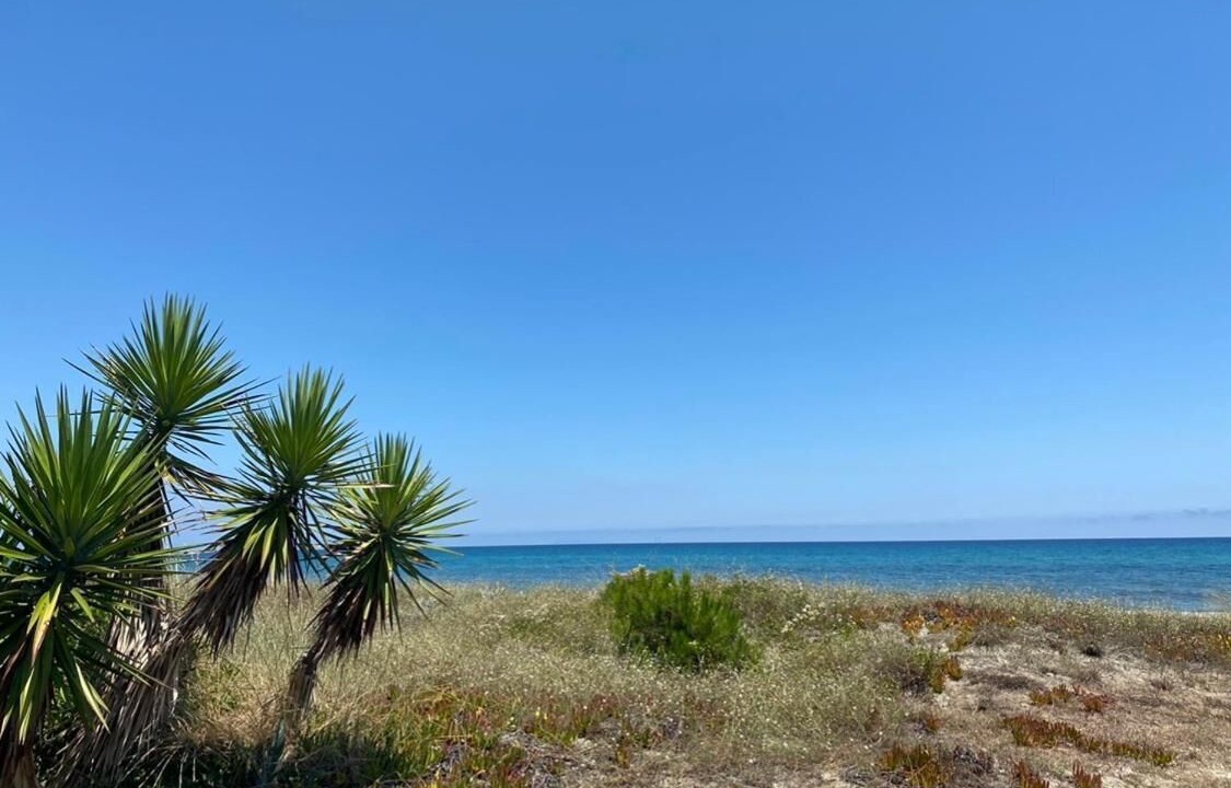 Photo of Others in Saint-Paul-les-Dax