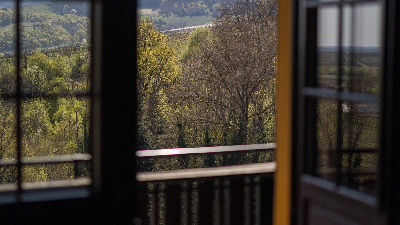 Photo of Outdoor in Itterswiller