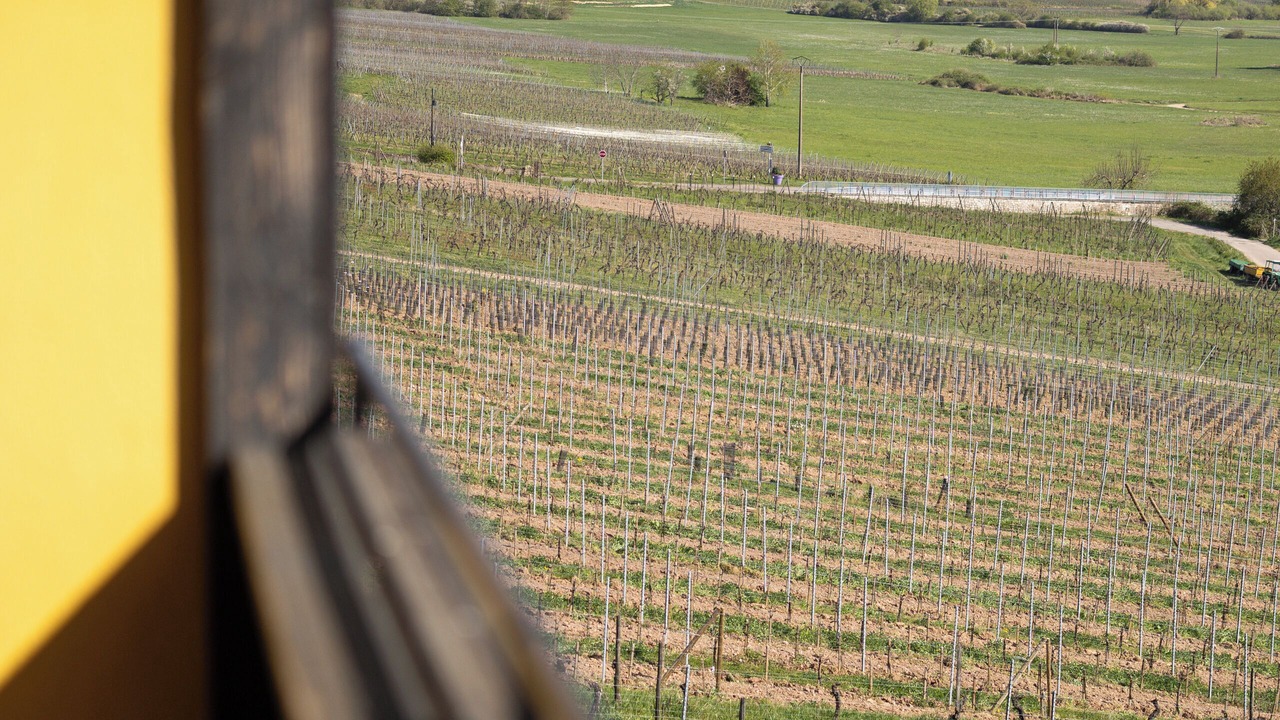 Photo of Bedroom in Itterswiller