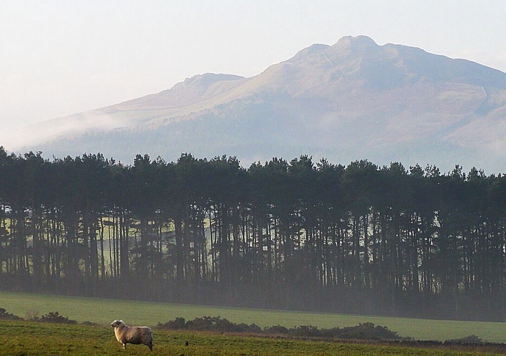 Photo of Others in Jedburgh
