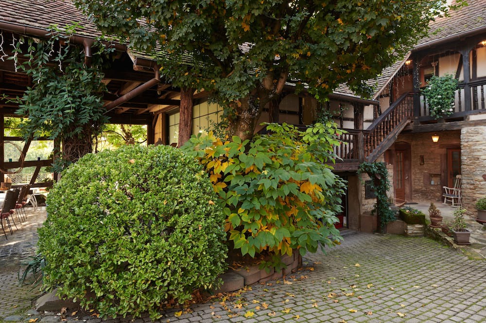 Photo of Outdoor in Willgottheim
