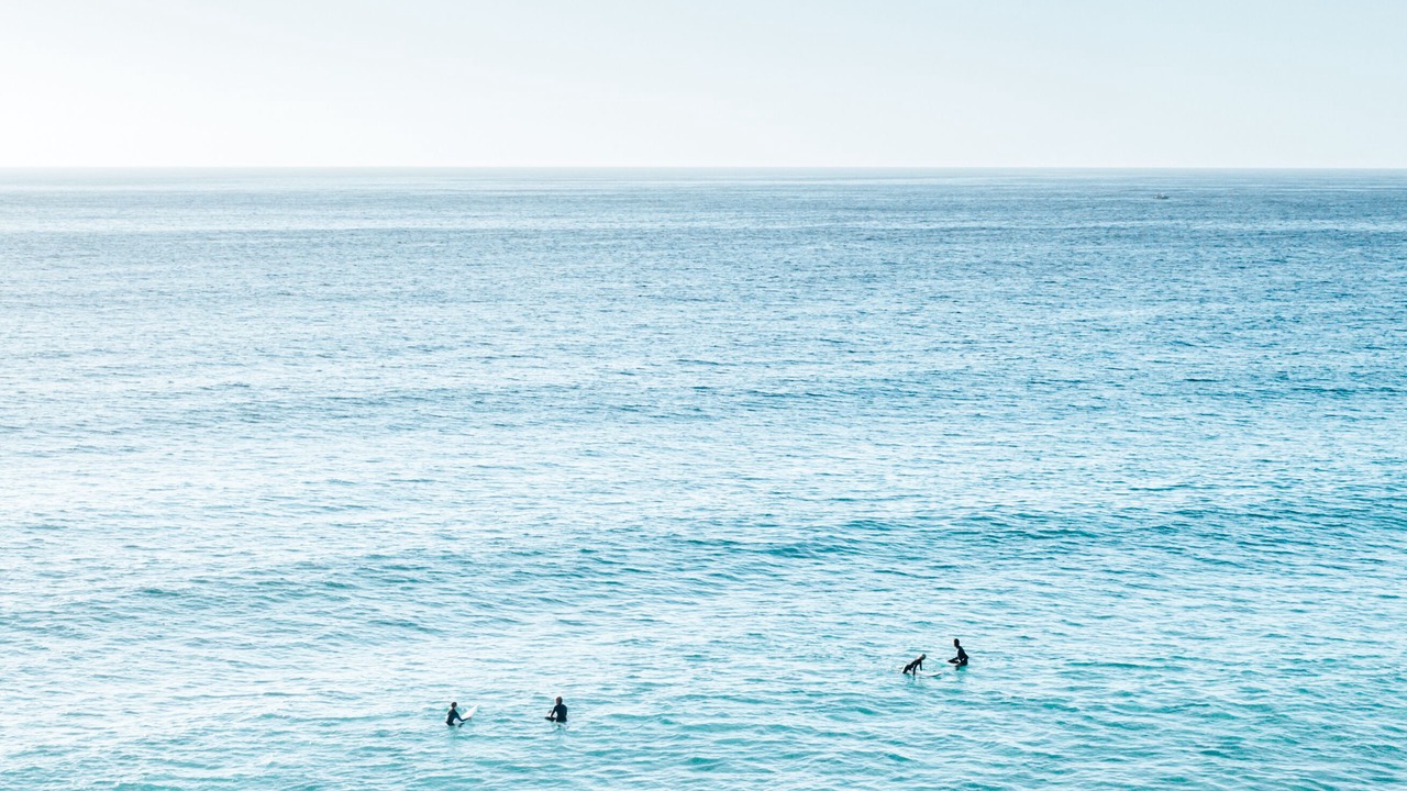 Photo of Others in Mollymook Beach