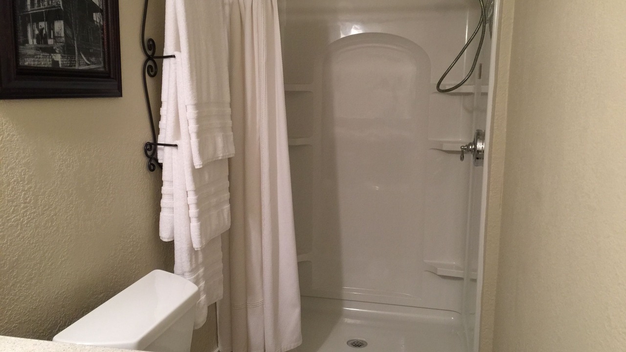 Photo of Bathroom in Eureka Springs Historic District