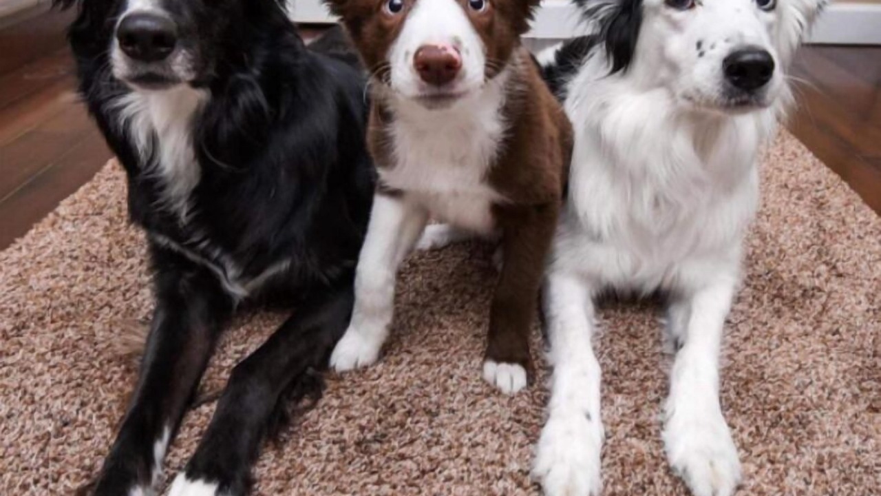 Photo of Livingroom in Saint-Seurin-de-Cadourne
