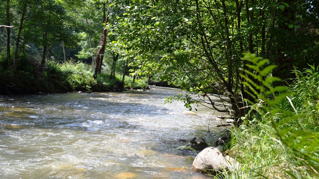 Photo of Outdoor in Biert