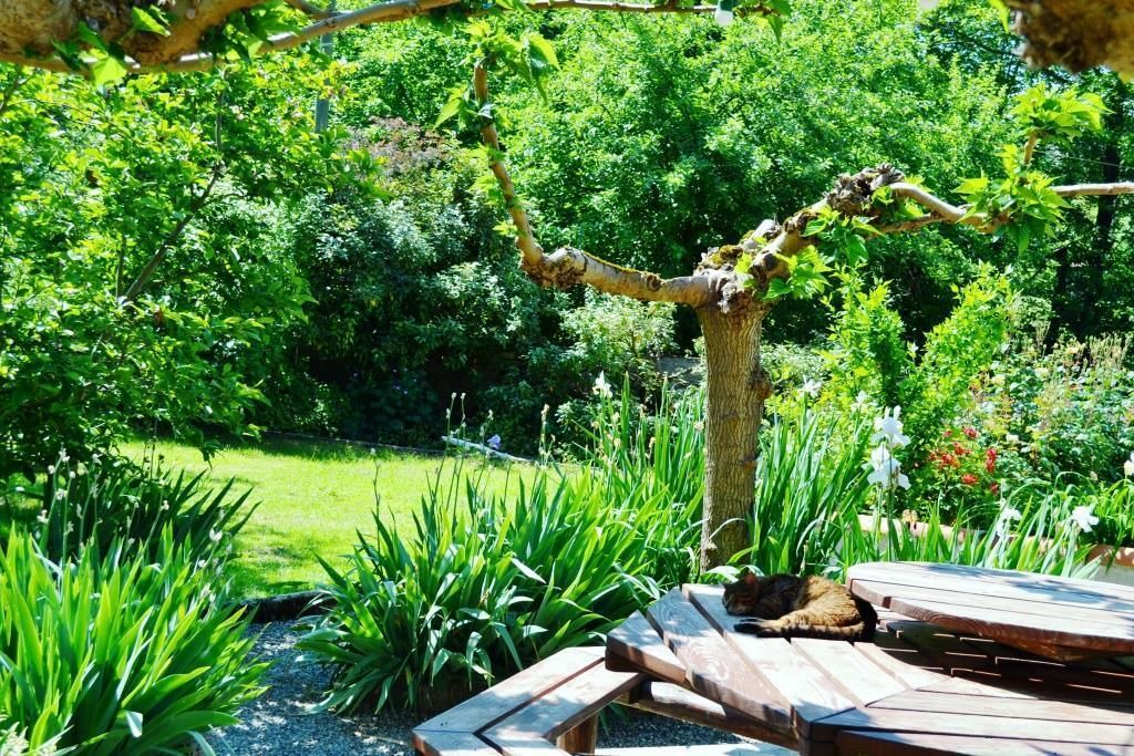 Photo of Others in Biert