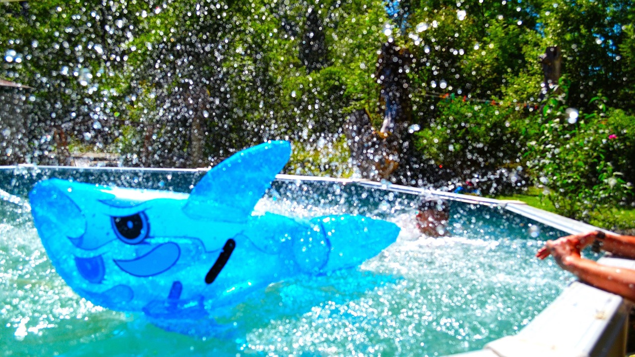 Photo of Others in Biert