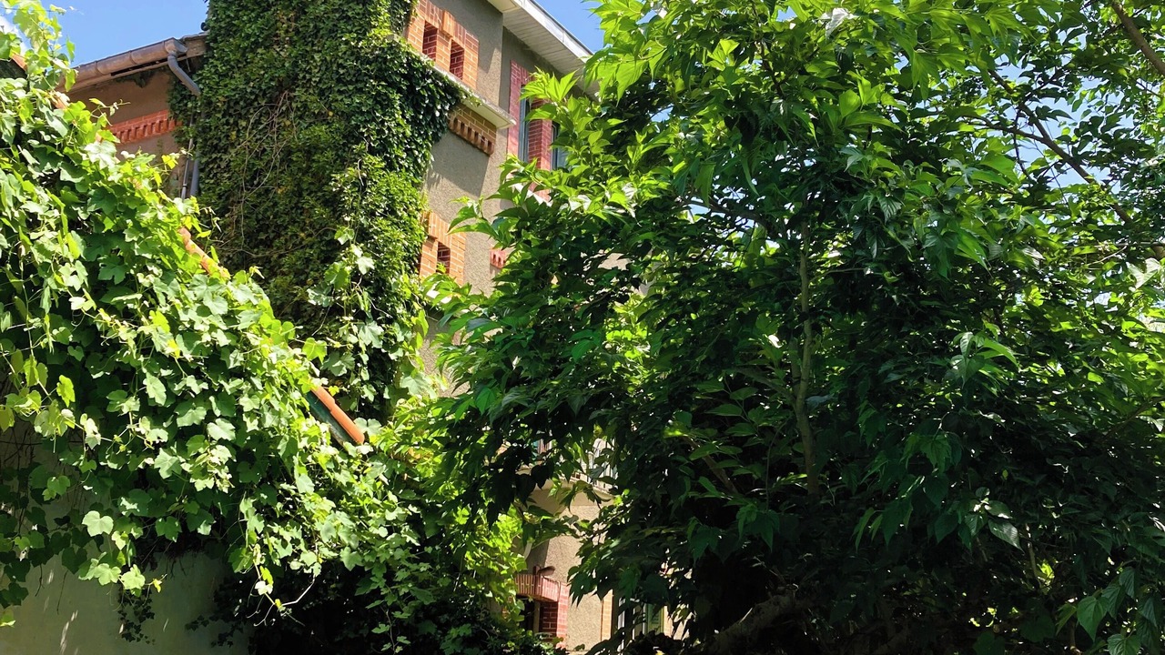 Photo of Outdoor in Biert