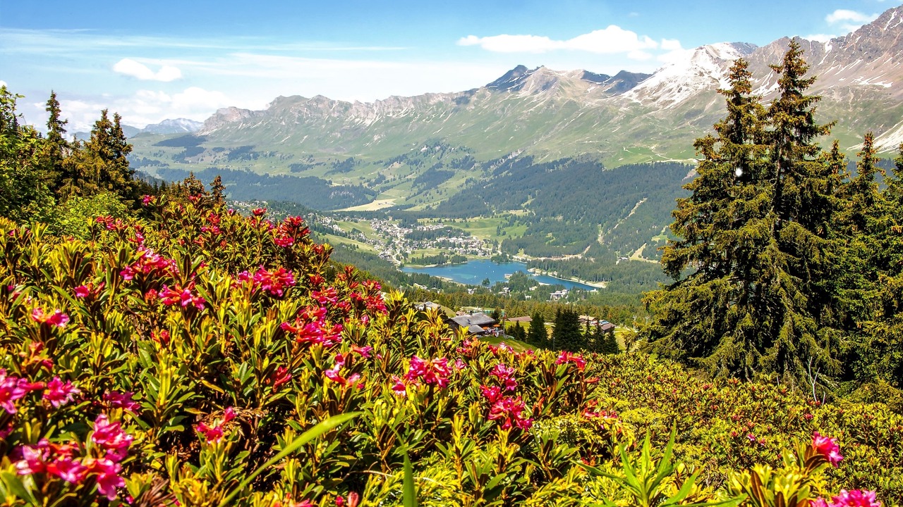Photo of Outdoor in Valbella
