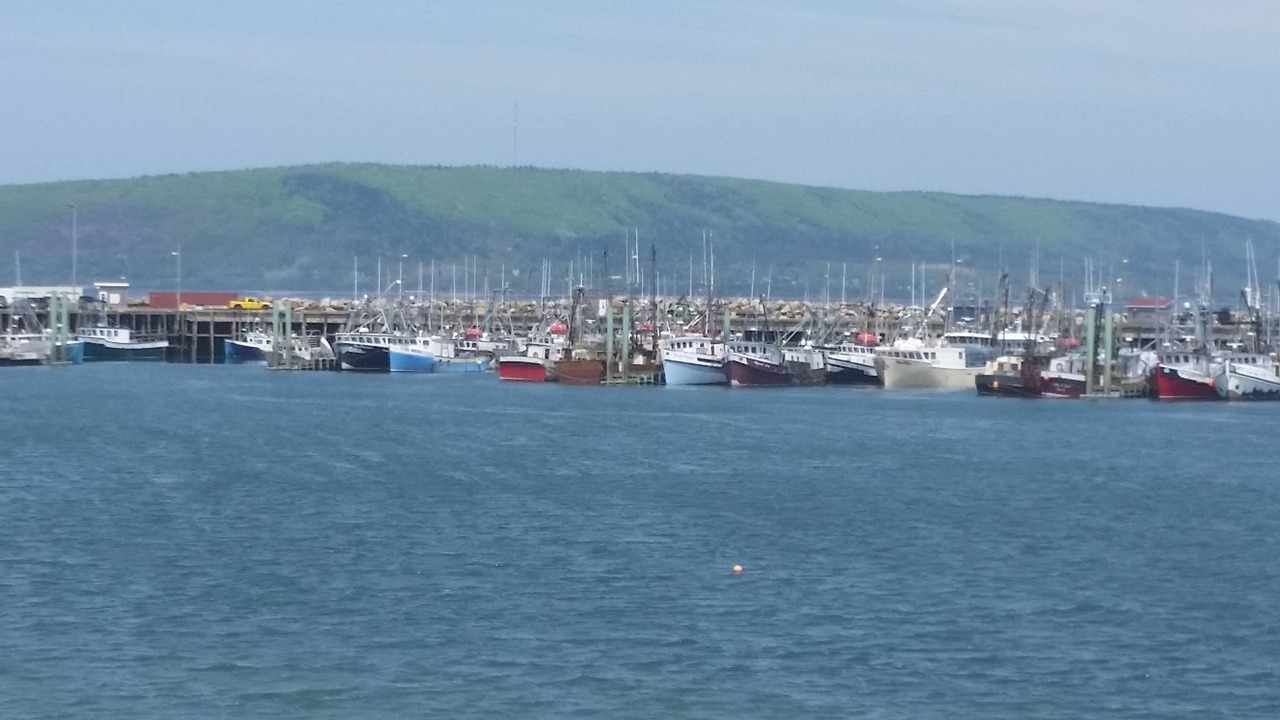 Photo of Others in Digby