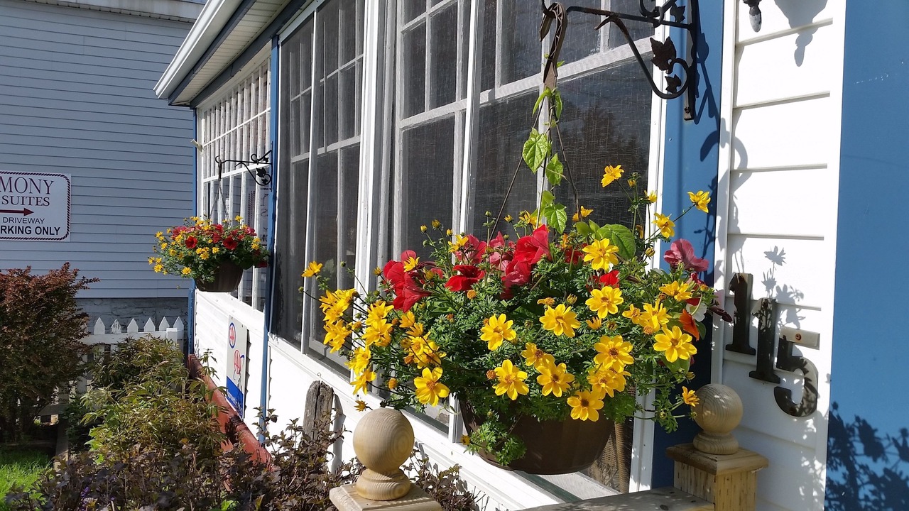 Photo of Outdoor in Digby