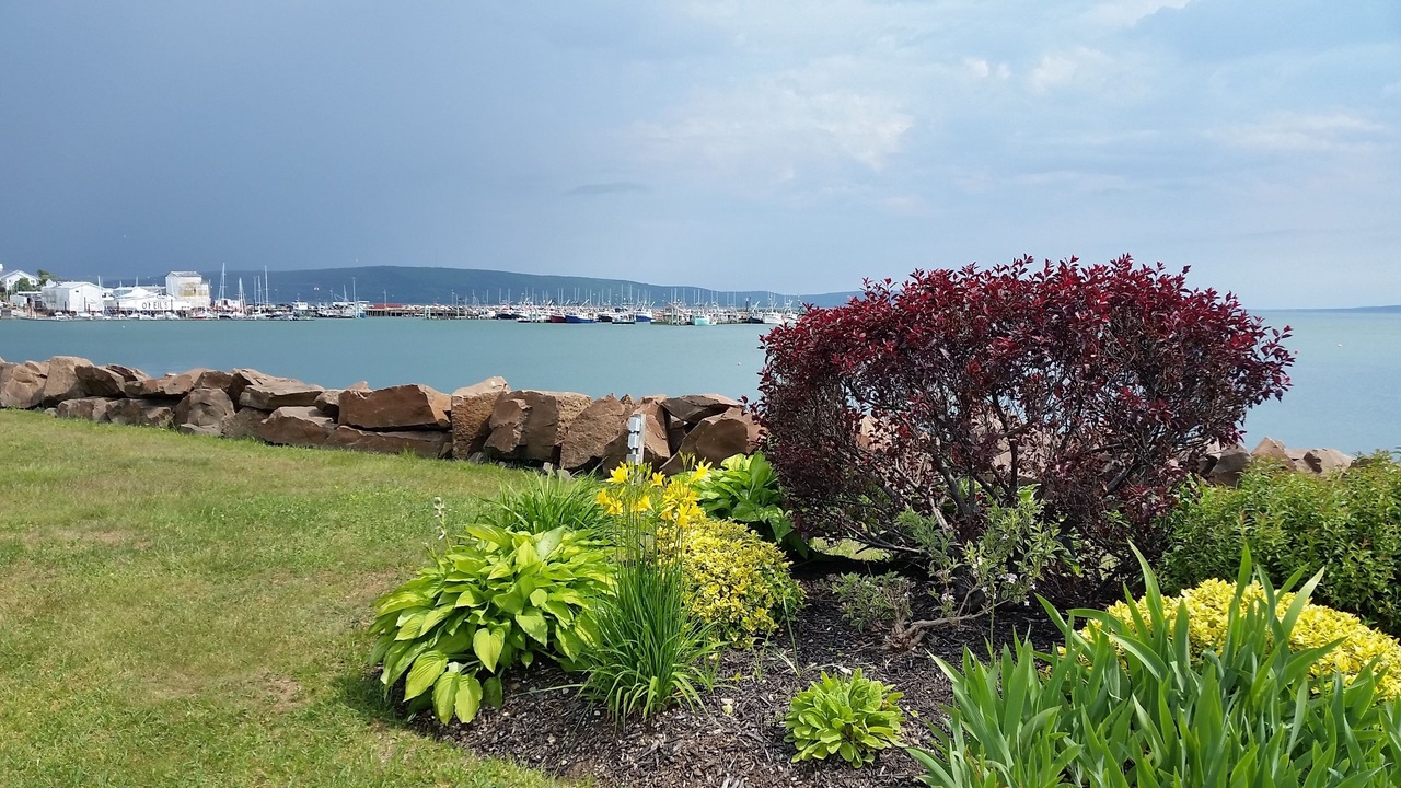 Photo of Others in Digby