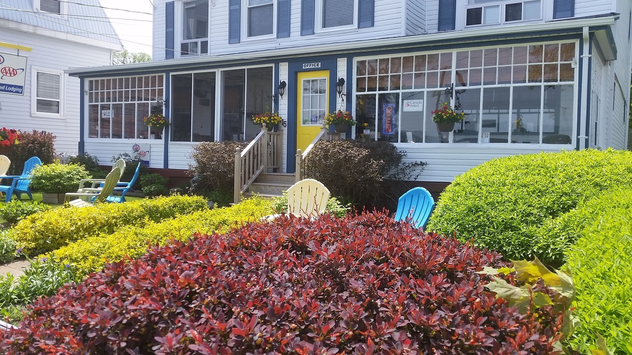 Photo of Outdoor in Digby