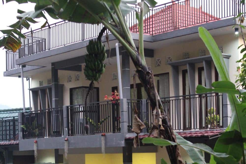 Photo of Outdoor in Munduk