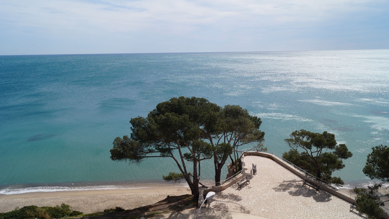Photo of Others in Miami Platja