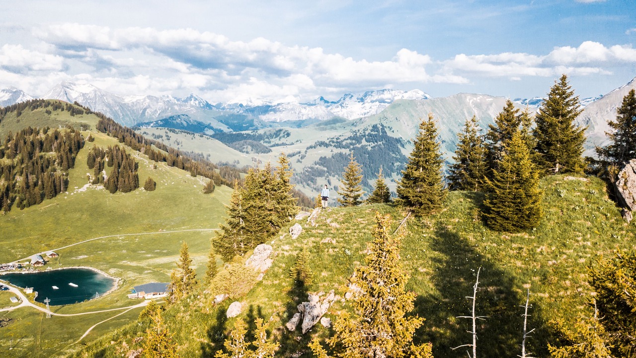 Photo of Others in Saanen