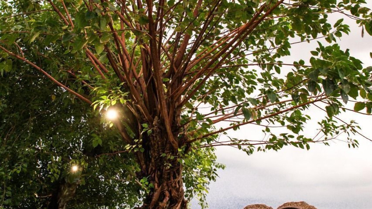 Photo of Outdoor in Gianyar