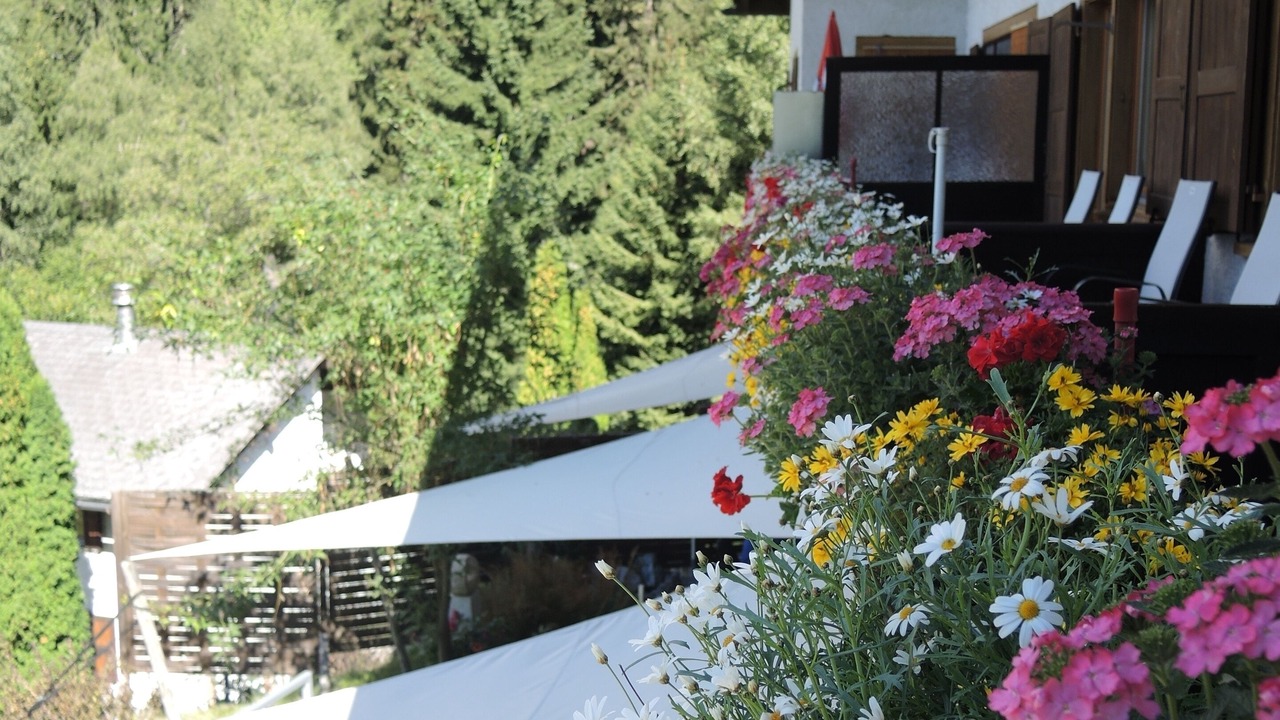 Photo of Outdoor in Bregaglia