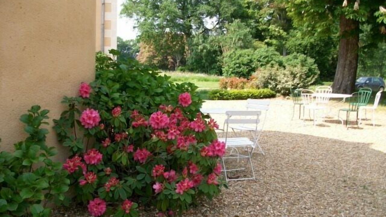 Photo of Outdoor in Daon