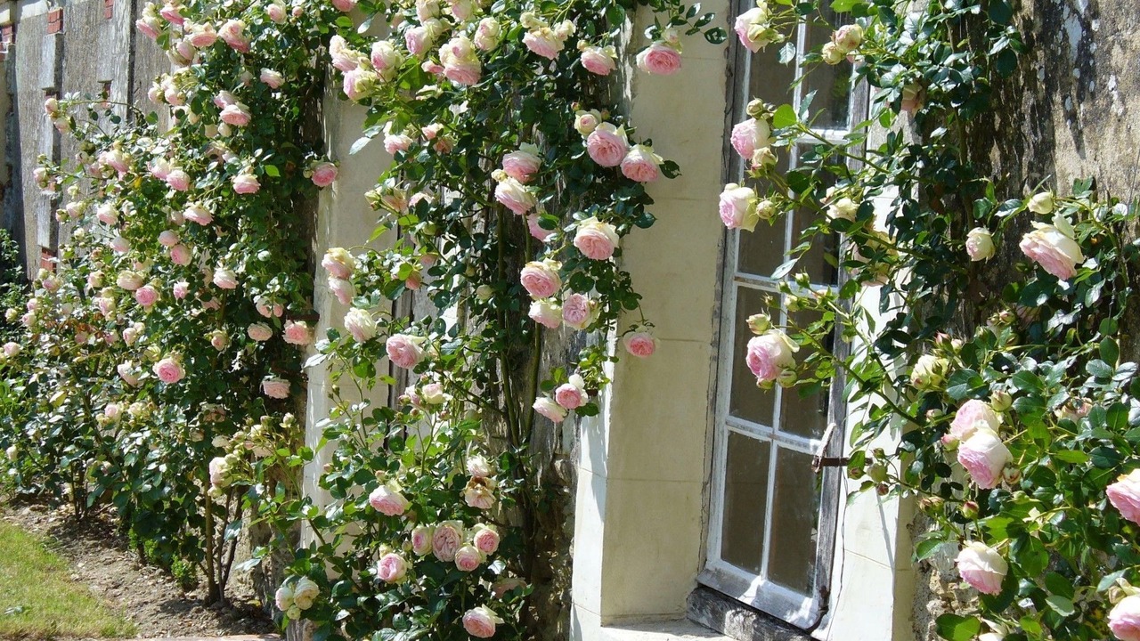 Photo of Outdoor in Daon