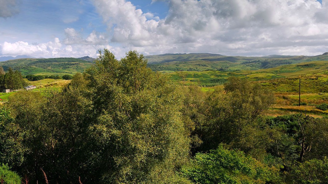 Photo of Others in Oban