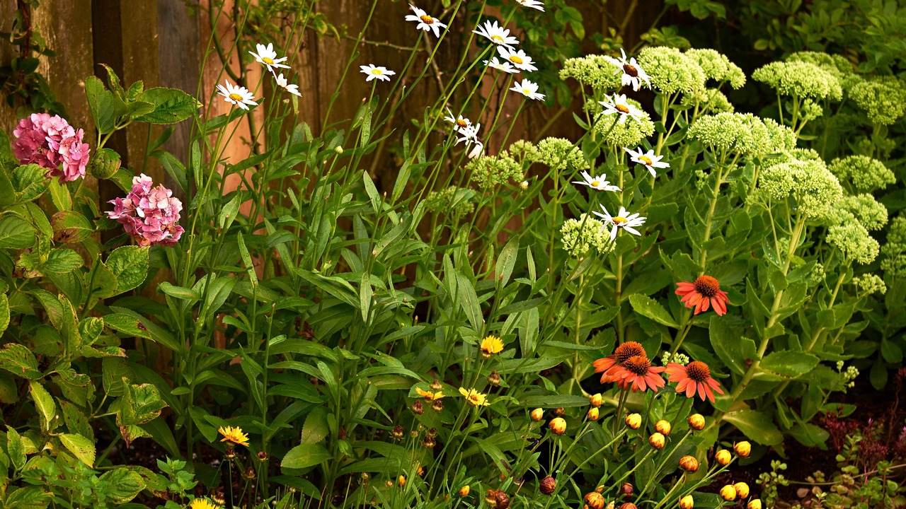 Photo of Outdoor in Brant Point