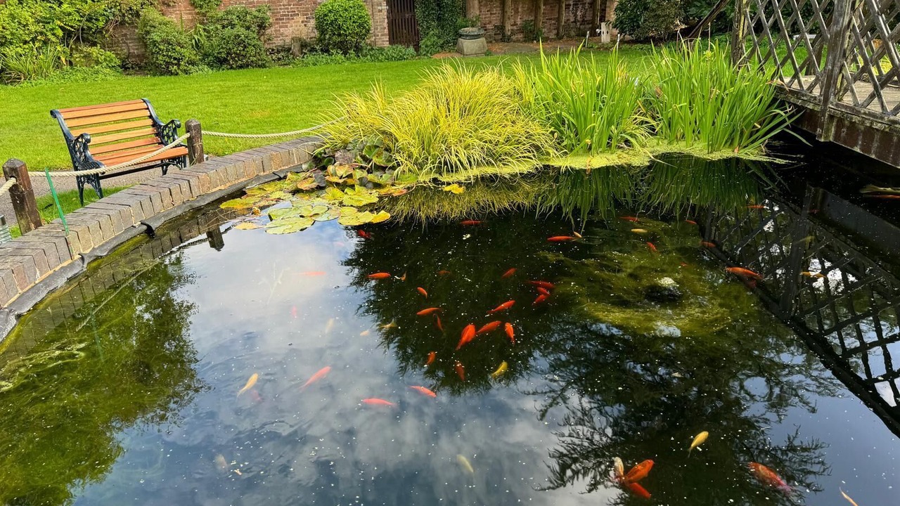 Photo of Outdoor in Cheadle