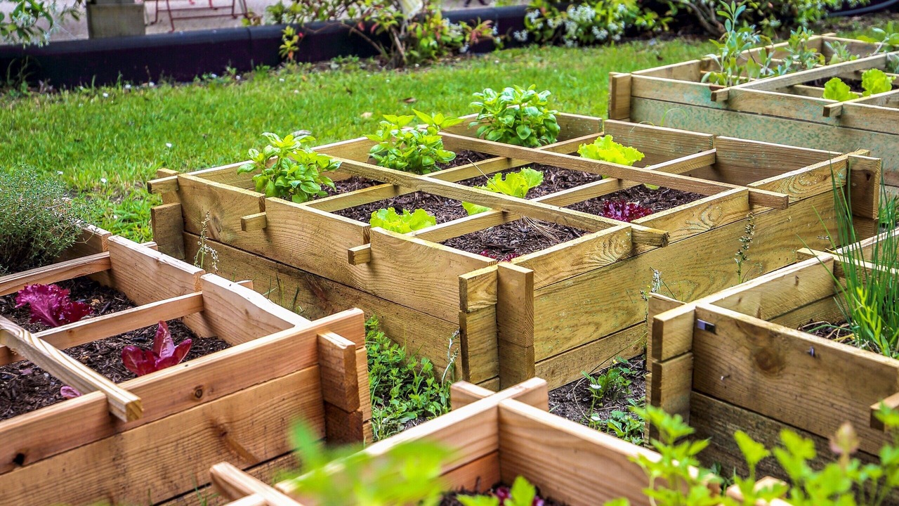 Photo of Outdoor in La Teste-de-Buch