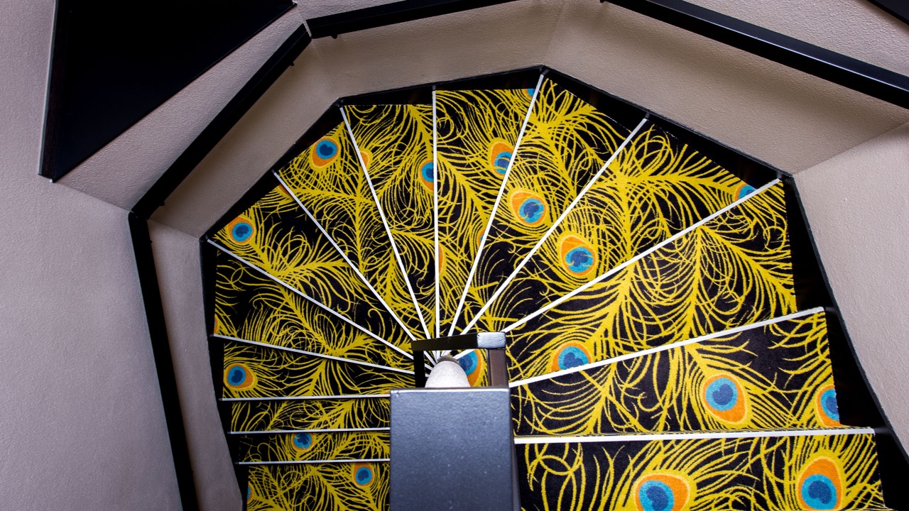 Photo of Others in La Teste-de-Buch