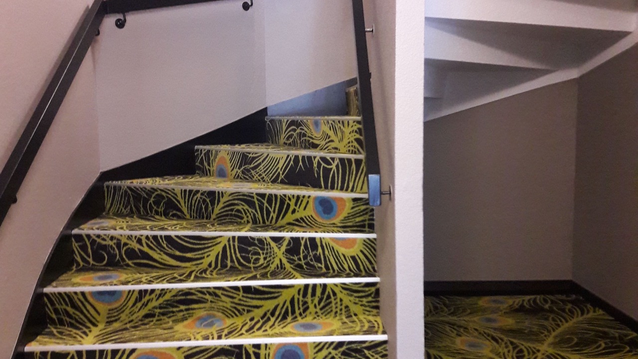 Photo of Others in La Teste-de-Buch