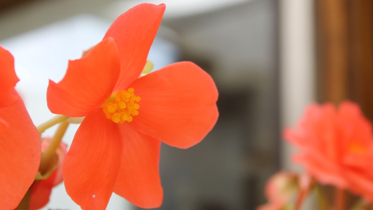 Photo of Outdoor in Condom