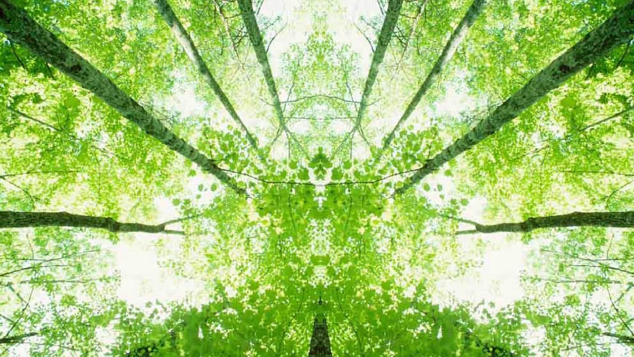 Photo of Others in Quartier du Vieux-Pont - Sainte-Genevieve