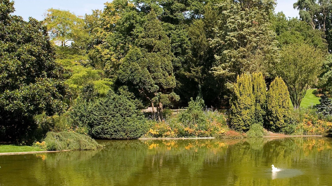 Photo of Others in Saint-Sylvain-d'Anjou