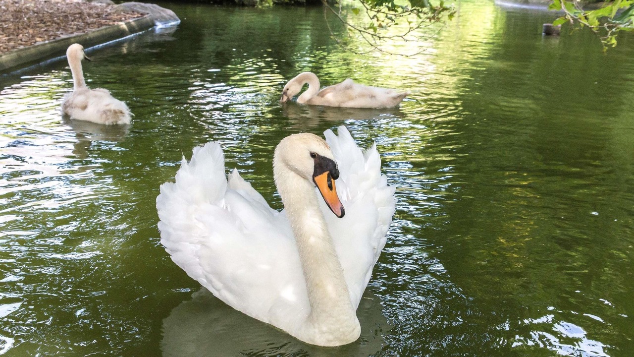Photo of Others in Saint-Sylvain-d'Anjou